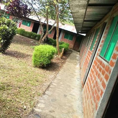 Cabañas Victoria Albergue Puerto Misahuallí Exterior foto